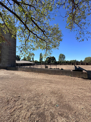Gran Sitio Urbano Desarrollo Inmobiliario (94249)