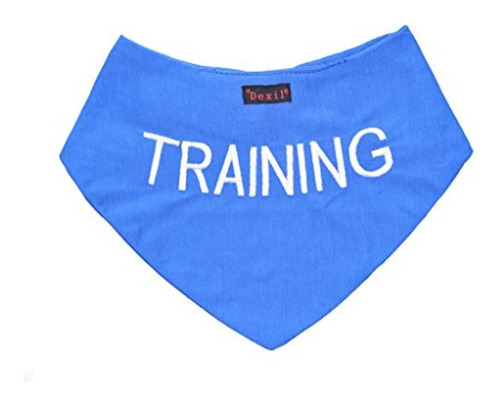 Entrenamiento Blue Dog Bandana Calidad Mensaje Bordado Perso