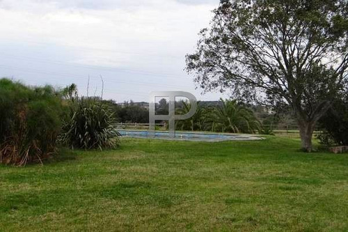 Imagen 5 de 15 de Chacra En Venta Laguna Del Sauce 3 Dormitorios, 5 Hectáreas