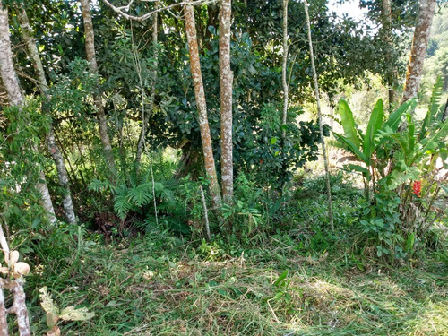 Imagem 6 de 14 de Vendo Terreno Pronto Para Construir Sua Chacara!!!