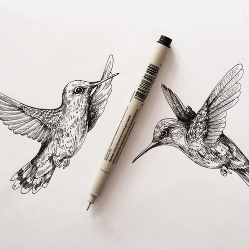 Tiralíneas Sakura Pigma Micron X 1 Unidad Color De La Tinta Negro 0.1 Mm