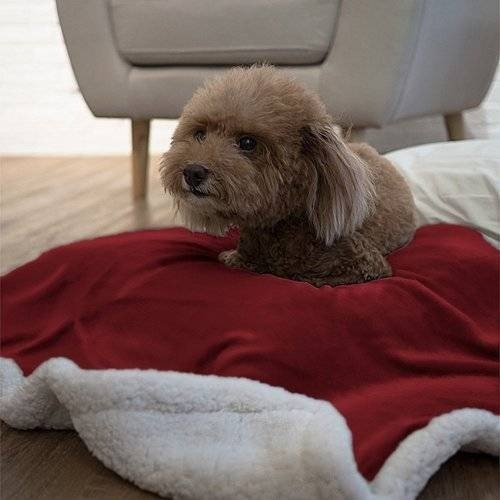 Imagen 3 de 5 de Mascota Gato Perro Cachorro Premium Sherpa Peluche Manta Tam