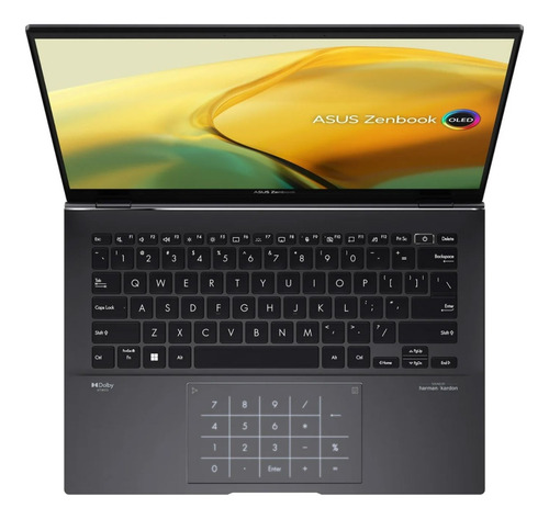 Notebook Asus Zenbook Ryzen 5 8gb 2tb Ssd 14 2.8k Touch
