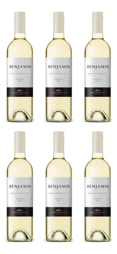 Vino Norton Sauvignon 2021 bodega Nieto Senetiner 750 ml pack x 6 u en estuche de sin estuche