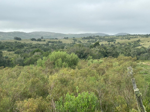 3 Hectáreas En Las Cañas Con Cañada