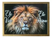 Comprar Quadro Leão (ele Vive, Ele Reina) 50x70cm Resinado.