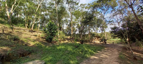 Imagem 4 de 14 de Maravilhoso Sítio Em Meio A Natureza De Biritiba Mirim!!!