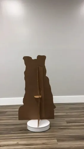 Gráficos Avanzados Collie Perro Tamaño De La Vida De Cartón