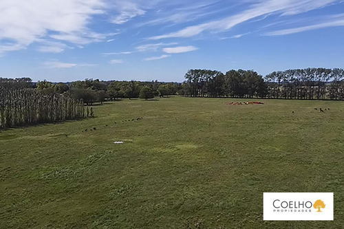 Imagen 16 de 30 de Terreno - Carmen De Areco