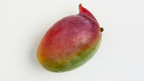 Planta Mango Var. Sensation (injertados) Se Hacen Envíos.