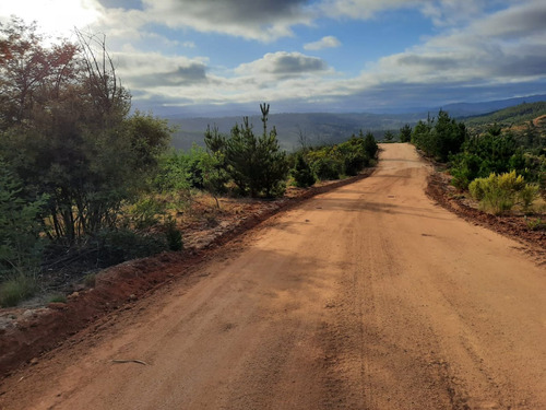 Parcelas Escobar Vende Parcelas En Hualañé, Curicó Acceso Di