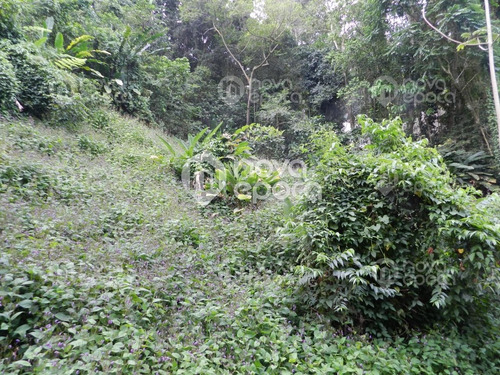 Imagem 2 de 10 de Terreno - Ref: Fl0tr41112
