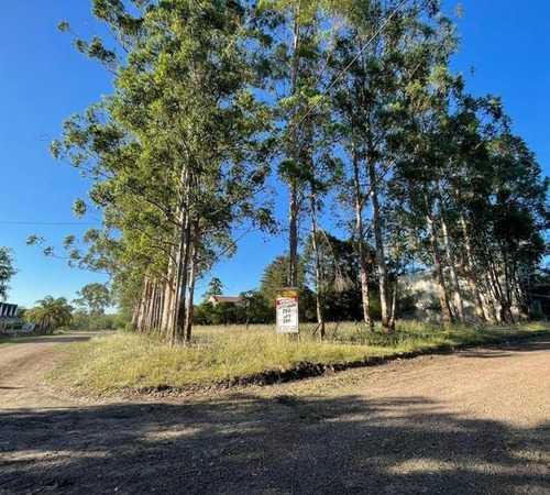 Imagen 9 de 17 de Terreno De 750 M2 Zona Termas Colón
