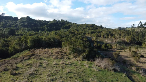 Se Vende Terreno De 6,05 Hectáreas  Curaco De Vélez