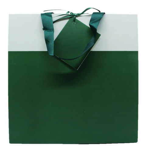 Sacola Para Presente Verde E Branca Com Cartão 24x24 Cm