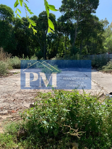 Terreno En Venta En Velloso