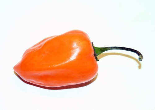 Sementes De Pimenta Stromboli Ornamental