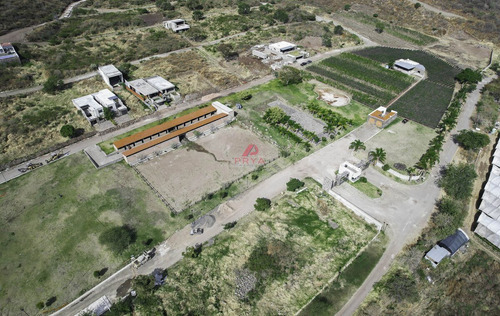 Terrenos En Venta En Jocotepec, Jal
