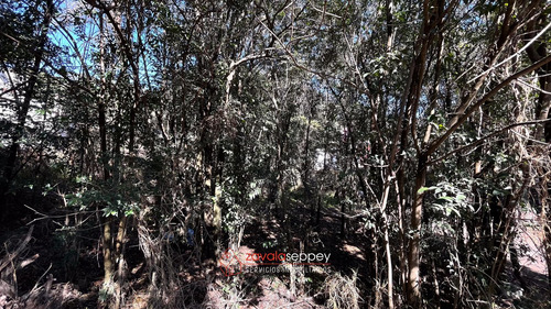 Lote En Salsipuedes - 600 M2 - A 200 Metros De La Ruta E-53