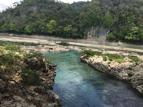 Rancho Forestal Y Ecoturístico En Venta En Palenque, Chiapas