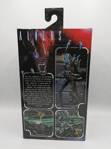 Imagen 5 de 6 de Alien Warrior Azul Ultimate Neca