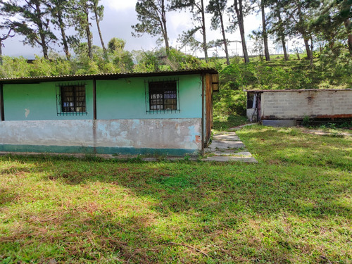 Ad. Excelente Finca En Venta La Mulera