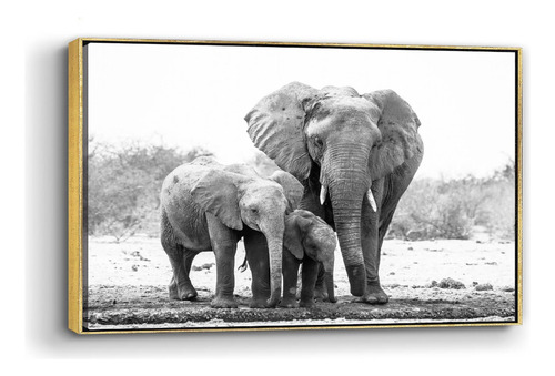 Cuadro Enmarcado Flotado Elefante Con Sus Crias 90x140cm