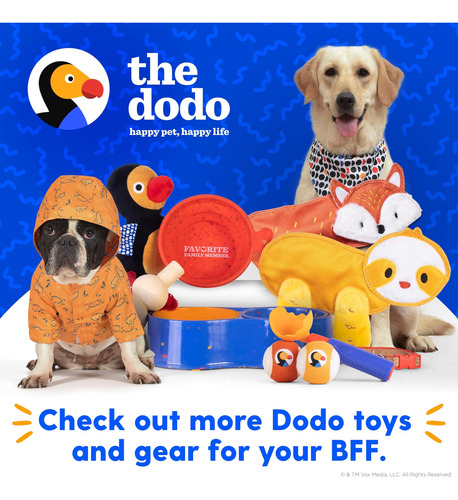 El Impermeable Impermeable De Los Días De Lluvia Dodo Para Y