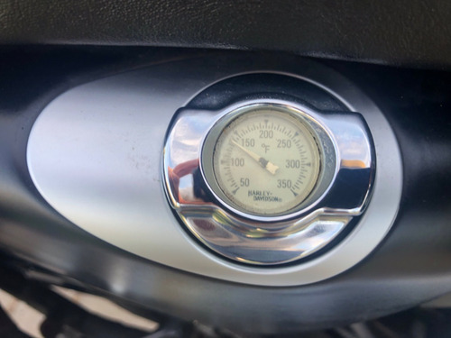 Harley-davidson Xl 883 Iron