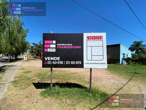 Imagen 7 de 8 de Terreno - Joaquin Gorina