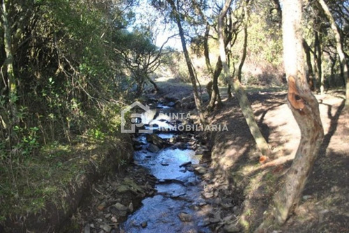 Imagen 5 de 30 de Venta Chacra 96has En Minas, Lavalleja