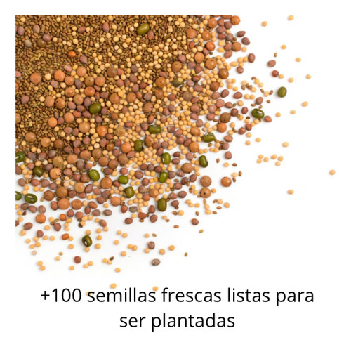 Combo Semillas Flores Variadas Mix Jardín +100