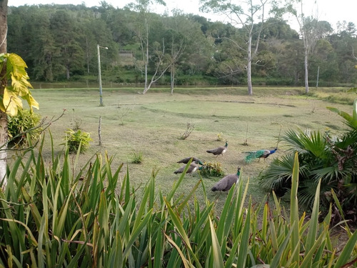 Imagem 13 de 14 de A Casa Do Lago