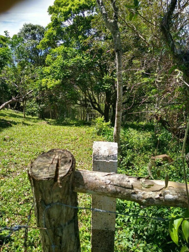Imagem 6 de 7 de Terreno Para Venda Em Gamboa Garopaba-sc - Tv811