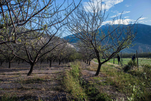 Terreno En San Juan De Pirque