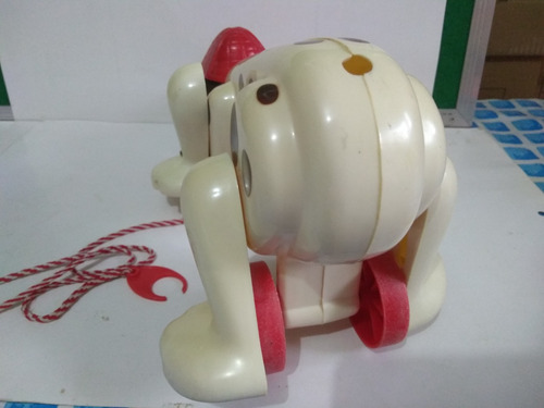 Antigo Cachorro Xereta Da Estrela No Estado (Usado)