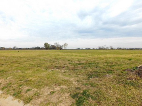 Imagen 8 de 8 de Venta - Lote 300m2 - Parada Robles - Exaltacion De La Cruz