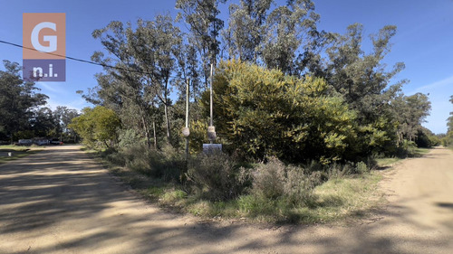 Terreno En Piriápolis (bella Vista) Ref. 6732