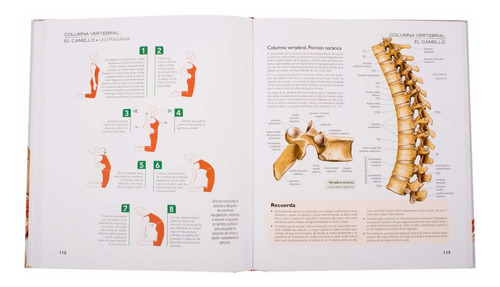 Imagen 2 de 4 de Atlas Ilustrado De Yoga Anatomia Y Posturas / Lexus