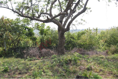 Venta De Terreno En Amatlán, Tepoztlán
