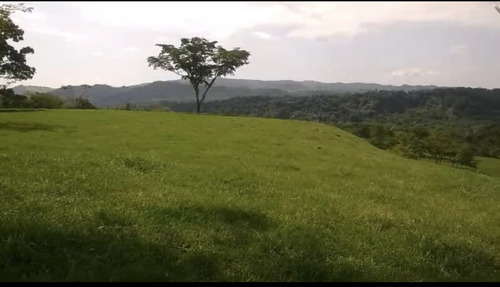 Se Vende Finca Para Proyecto Medio Ambiental Llanos Orientales