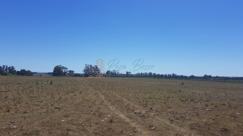 Imagen 7 de 7 de Chacra En Zona Rural - Zona Rural. - Zona Rural Zona Rural