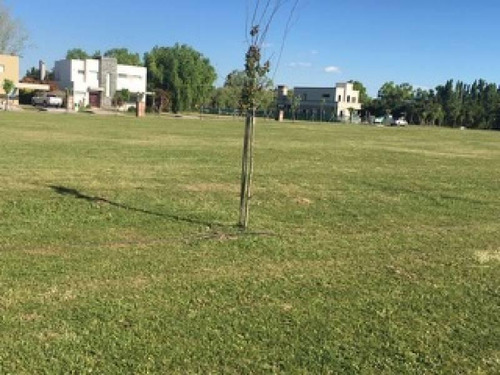 Imagen 4 de 10 de Lote En Venta Con Vista A Espacio Verde, Campo Grande, Pilar
