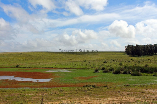 Campo En Punta Del Este, | Alejandro Perazzo Ref:12338- Ref: 12338