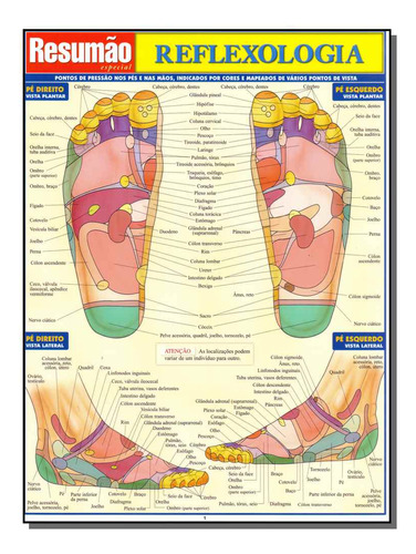 Libro Resumao Especial Reflexologia De Perez Vincent Resuma