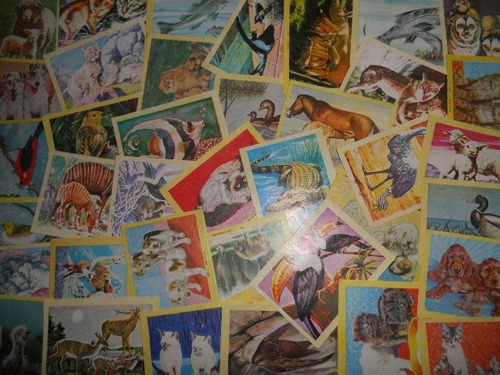 Lote De 70 Estampas Album El Reino Animal Y Sus Crias ( 60s)