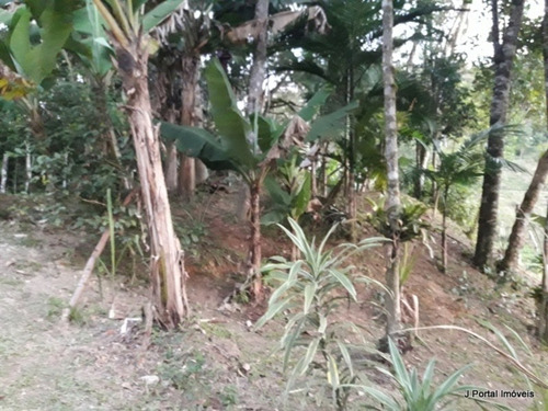 Imagem 4 de 15 de Chacara - 22 - 32939044