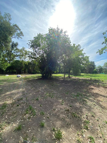 Terreno A La Venta En Barrio Los Pinos Iii De Yei Pora
