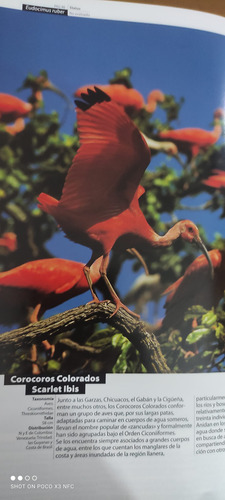 Fauna De Venezuela ..
