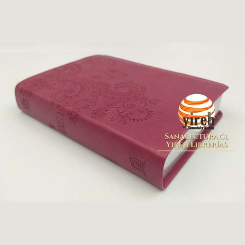 Santa Biblia Rvr 1960, Edición Compacta (tapa Piel Rubi)